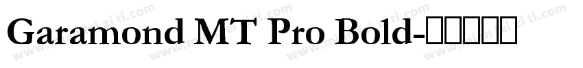 Garamond MT Pro Bold字体转换